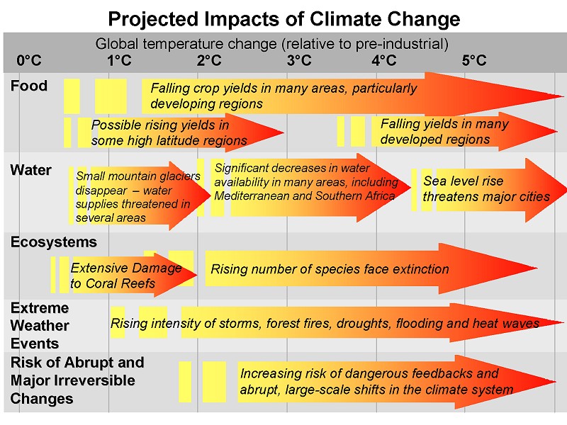 The Economics of Climate Change