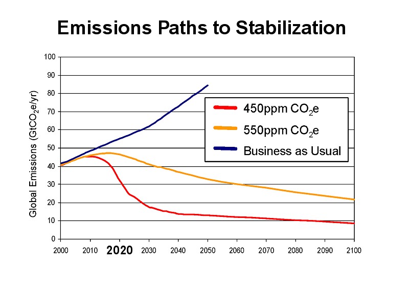 The Economics of Climate Change