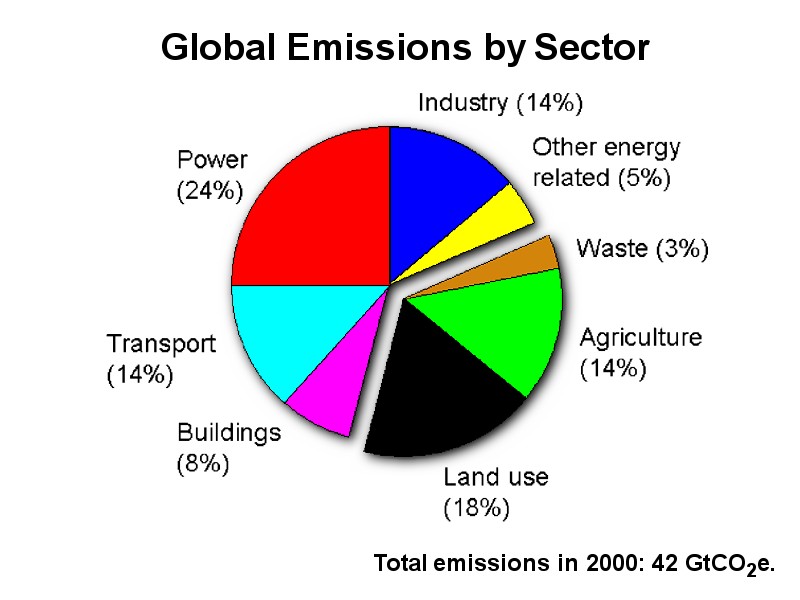 The Economics of Climate Change